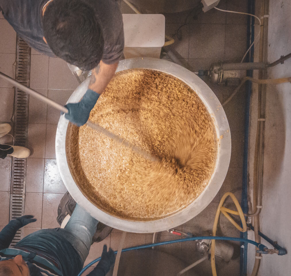 Produção de Cerveja