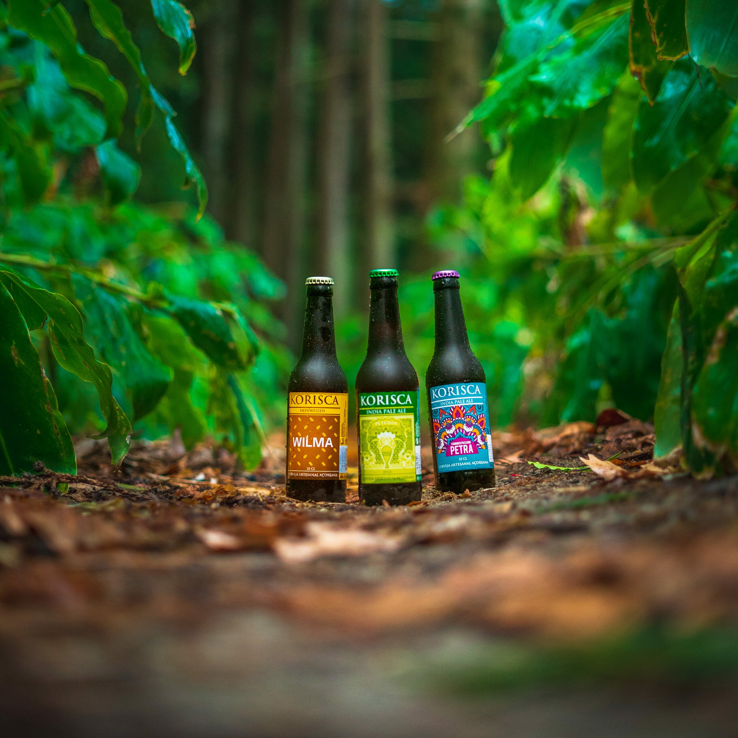 Three Korisca craft beers, the Wilma (Hefeweizen), the Petunia (IPA) and the Petra (IPA), on the brown-leaf covered floor, surrounded by green vegetation, with trees in the background, Sete Cidades, Ponta Delgada, São Miguel, Azores.
