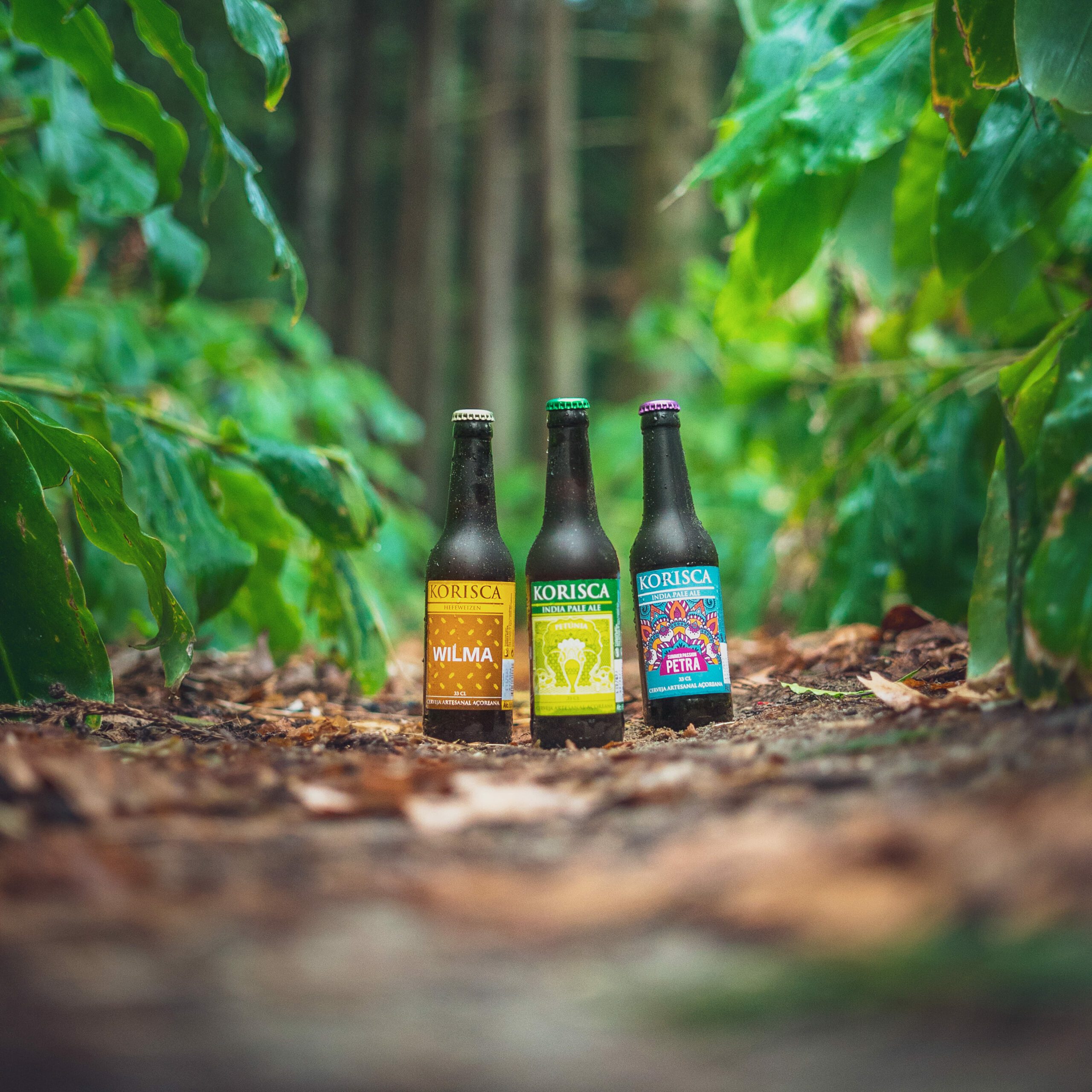 Three Azorean craft beers Korisca, Wilma (Hefeweizen), Petúnia (IPA) and Petra (IPA), on the ground with brown leaves, green vegetation around them and trees in the background, in Sete Cidades, Ponta Delgada, São Miguel, Azores.