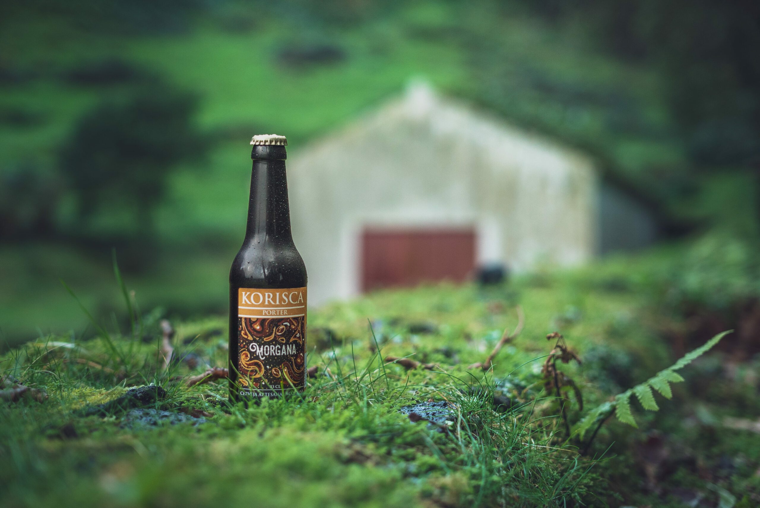 Azorean craft beer Korisca Morgana (Porter), on the green floor, with green leaves, in the background green vegetation and a house with a red door, in Sete Cidades, Ponta Delgada, São Miguel, Azores.