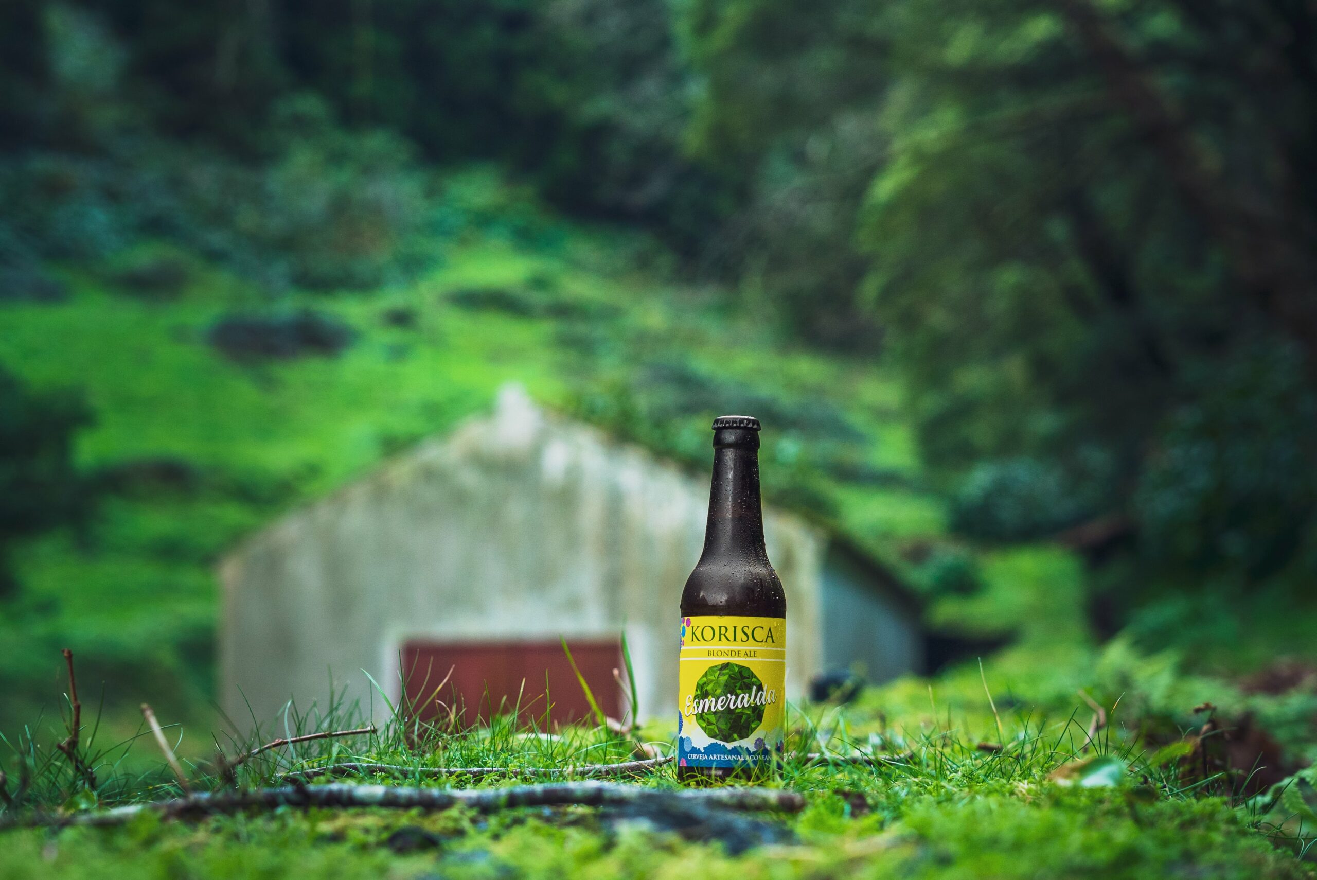 Cerveja artesanal açoriana Korisca Esmeralda (Blonde Ale), em chão verde, com uma casa, árvores e vegetação verde, nas Sete Cidades, Ponta Delgada, São Miguel, Açores.