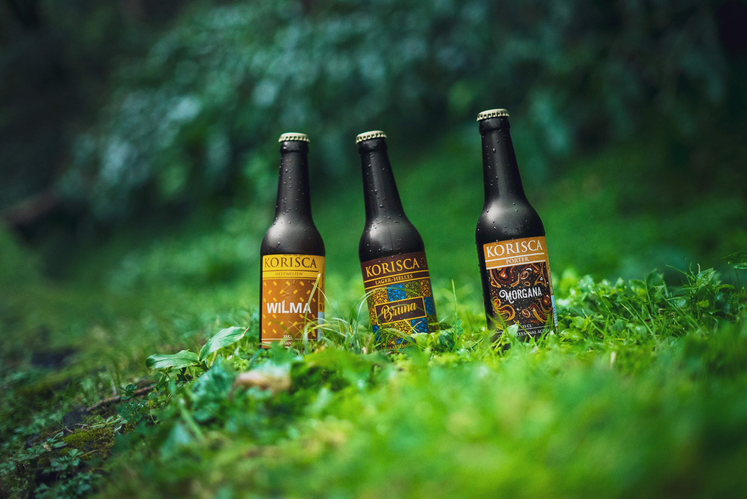 Três cervejas artesanais Korisca, a Wilma (Hefeweizen), a Bruna (Lager-Helles) e a Morgana (Porter), no chão com folhas verdes, e ao fundo vegetação verde, Sete Cidades, Ponta Delgada, São Miguel, Açores.