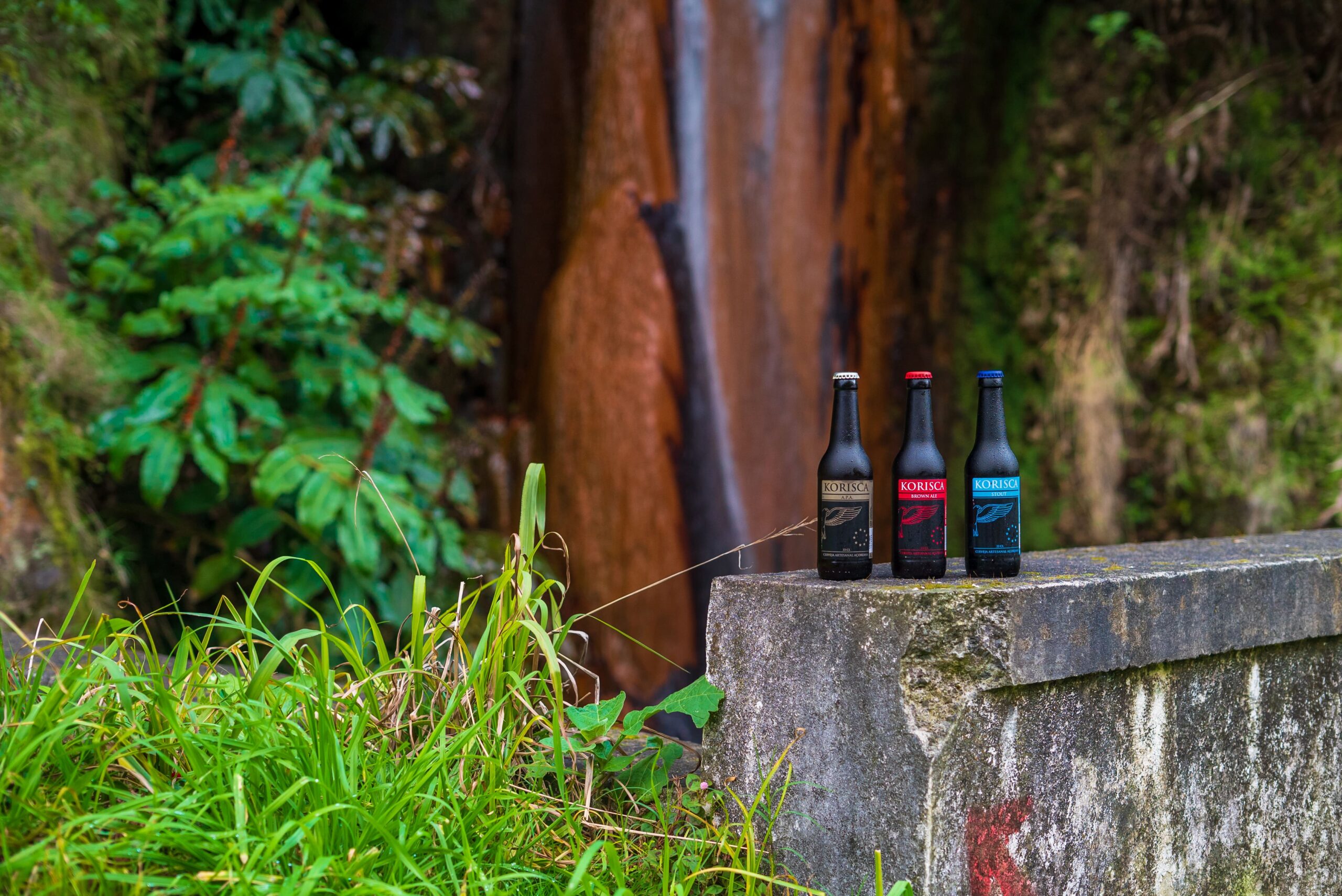 Cerveja artesanal açoriana Korisca Clássica II (APA), Korisca Clássica I (Brown Ale) e Korisca Clássica III (Stout), no muro, ao lado da vegetação verde, e de fundo a cascata da Ribeira Quente, Ribeira Quente, Povoação, São Miguel, Açores.