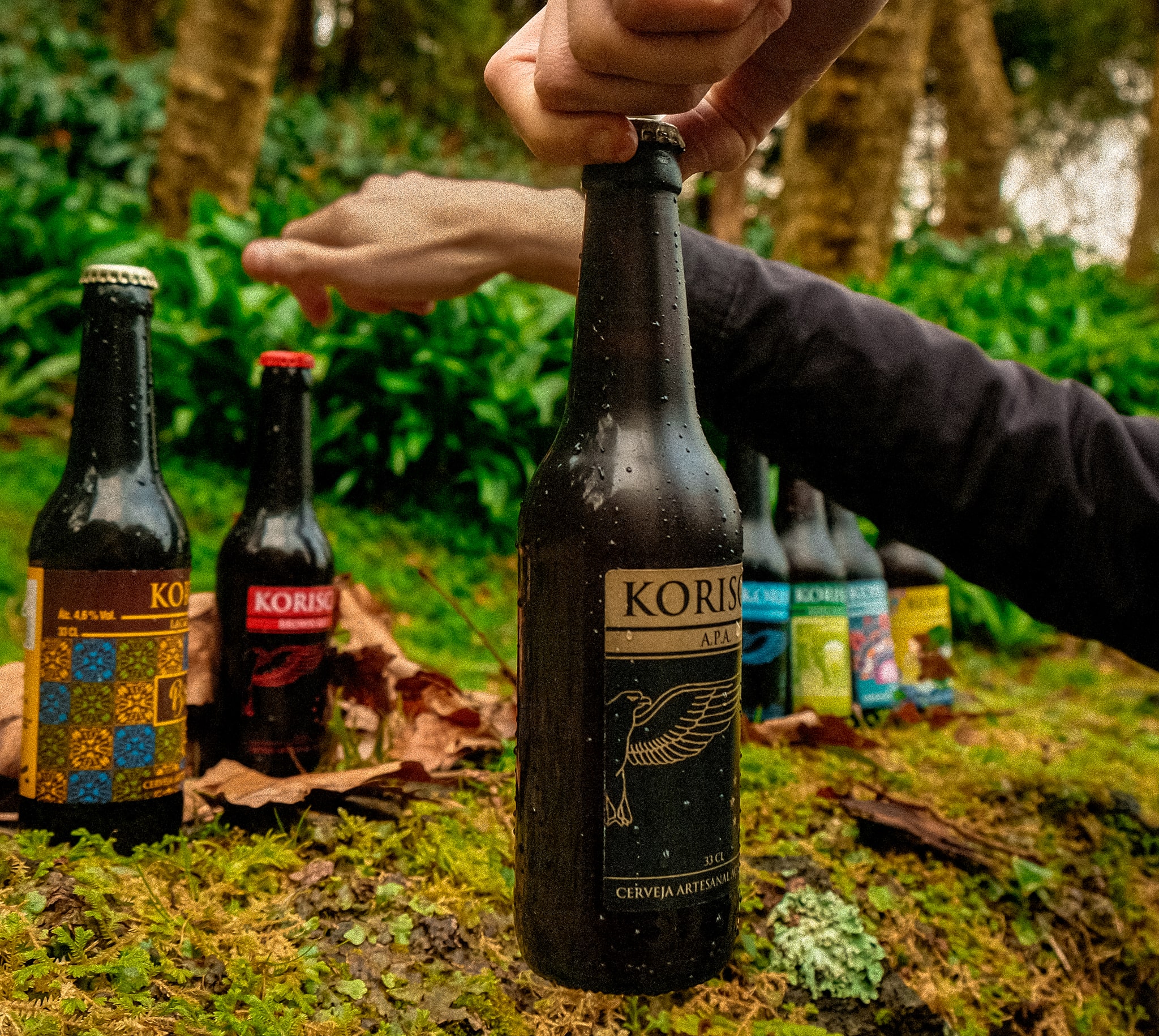 Duas mãos de um jovem, sete cervejas artesanais açorianas Korisca, a Clássica II (APA) em primeiro plano, a Bruna (Lager-Helles), a Clássica I (Brown Ale), a Clássica III (Stout), a Petúnia (IPA), a Petra (IPA) e a Esmeralda (Blonde Ale), em chão musgoso verde e castanho, com vegetação verde e troncos de árvores castanhos ao fundo, em São Miguel, Açores.