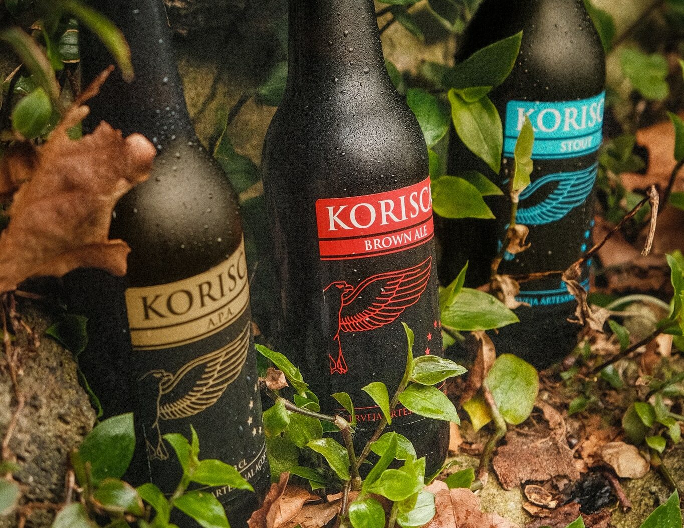 Cerveja artesanal açoriana Korisca Clássica II (APA), Korisca Clássica I (Brown Ale) e Korisca Clássica III (Stout), no chão castanho, com plantas verdes e pedra escura, São Miguel, Açores.