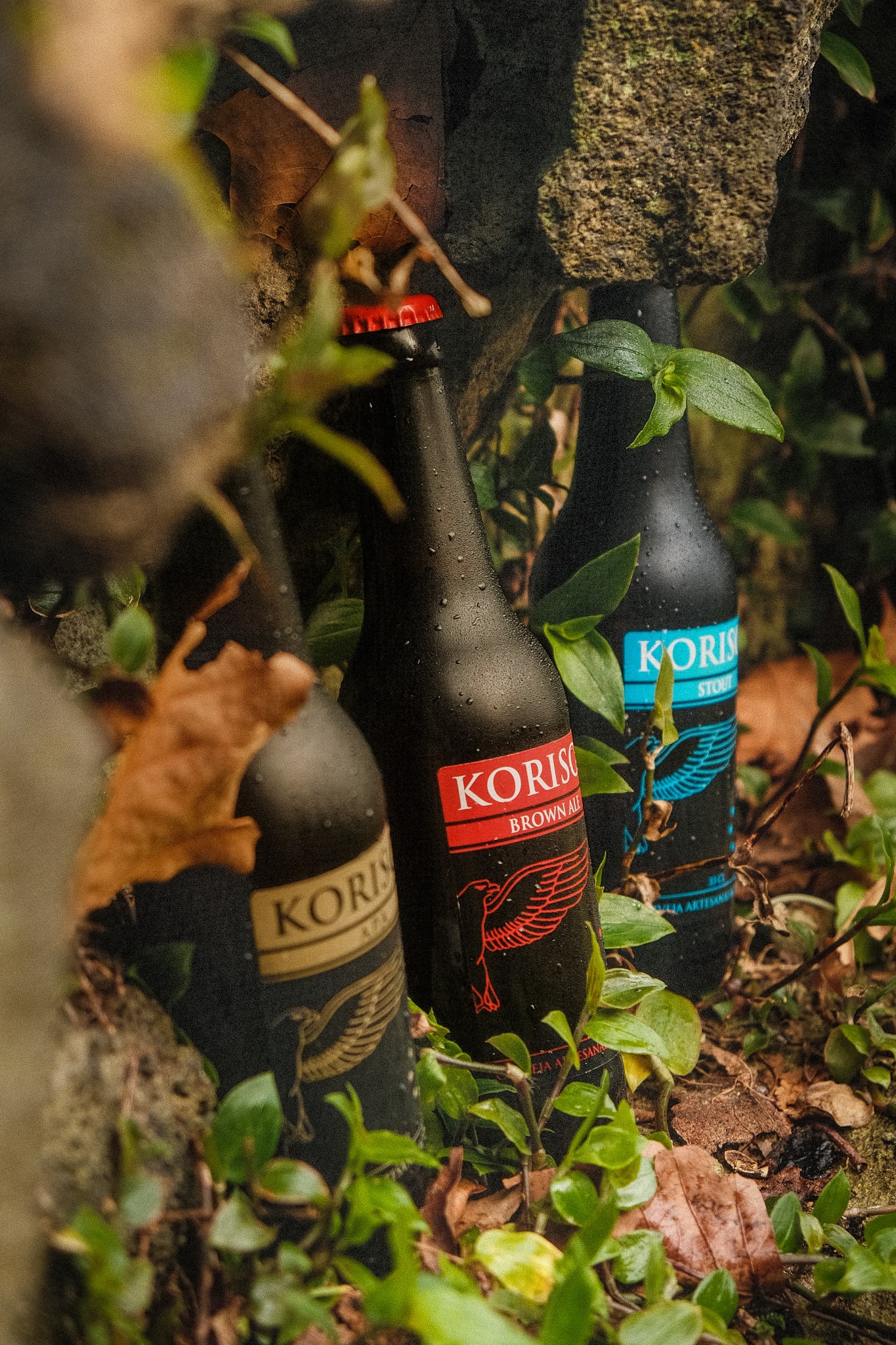 Cerveja artesanal açoriana Korisca Clássica II (APA), Korisca Clássica I (Brown Ale) e Korisca Clássica III (Stout), com vegetação castanha e verde e pedra escura, São Miguel, Açores.