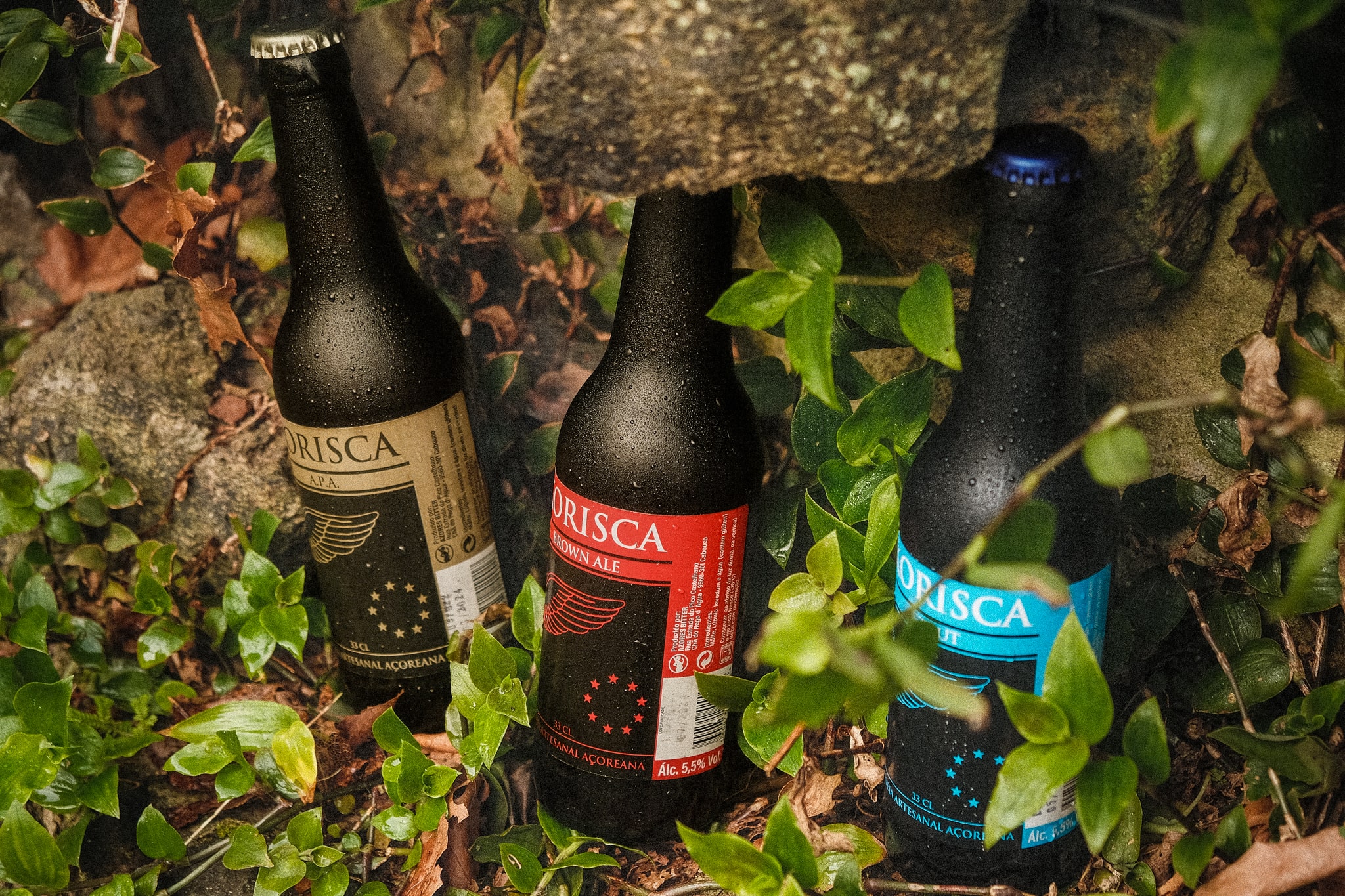 Cerveja artesanal açoriana Korisca Clássica II (APA), Korisca Clássica I (Brown Ale) e Korisca Clássica III (Stout), no chão com vegetação verde e folhas castanhas, São Miguel, Açores.